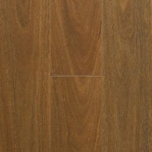 Spotted Gum